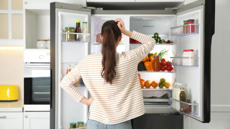 Why is My Refrigerator Not Cooling Causes & Quick Fixes